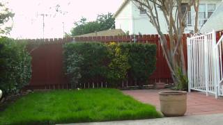720p (60) Sony MHS-CM5 Bloggie Camcorder Sample Video