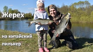 Жерех на китайский пилькер с aliexpress