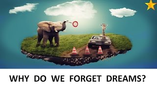 Why do we forget dreams