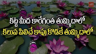 కలువ పువ్వు గురించి కవిత పాట | Folk Songs | Telangana Folk Songs | Telugu Songs | YOYO TV Music