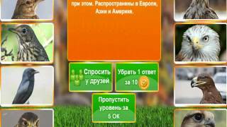 В мире животных. Ответ на 6, 7, 8, 9, 10 уровне.