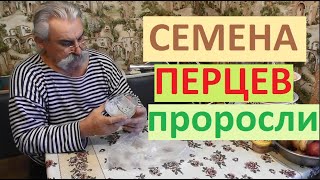 Я не ошибся и проверил семена ещё раз