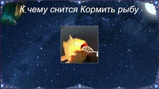 К чему снится Кормить рыбу (Сонник)