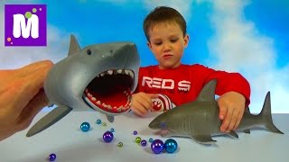 Акула растущая в воде и игрушечная акула Челюсти, выращивание в воде