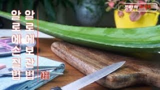 How to make Korean food,한국음식소개,#218면역력에 너무 좋은 알로에 손질법과 보관법,cooking hacks, How to cook