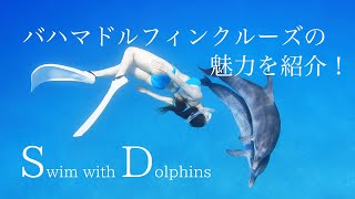 バハマドルフィンスイムクルーズツアーの魅力を紹介！