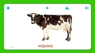 Корова - Карточки Для Детей - Домашние Животные - Карточки Домана