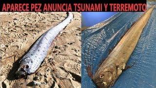 Encuentran en Japón Pez que Anuncia Tsunami y Terremoto / Meteorito Cuba