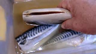 ? ? ПРОВЕСНАЯ СКУМБРИЯ   простецкий рецепт