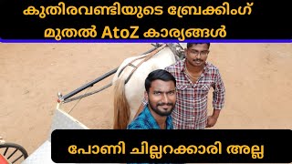 കുതിരയുടെ ബ്രൈക്കിങ്ങും ഗിയർ ഷിഫ്റ്റും |horse cart breaking and gear shift |agri tech farming
