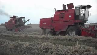 BIZON Rekord Z058 x3 żniwa w PGR