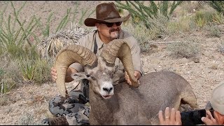 DESERT SHEEP HUNT ROUND 2 "BOOK RAM'