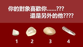 ?塔羅占卜?他喜歡你還是喜歡另一個他?(無時間限制Timeless) 氣泡水夢者塔羅Soda Dreamer Tarot