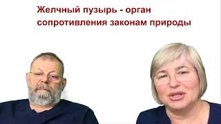 Тайная миссия желчи