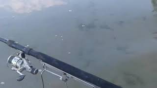 Самоподсекатель в деле.