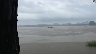 Susquehanna River rising in Harrisburg
