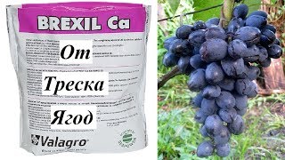 Кальций от Растрескивания Ягод Винограда