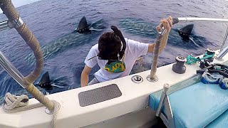 I went swimming with Sharks... (scariest experience ever)