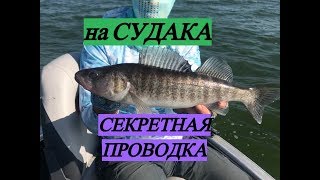 Хитрая  Проводка на Судака! Судак на Джиг!