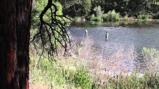 Grant's Getaways: Klamath River Trout Fishing