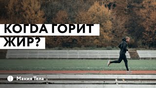 Как горит жир в организме? Сон, питание или тренировки? / Мания тела