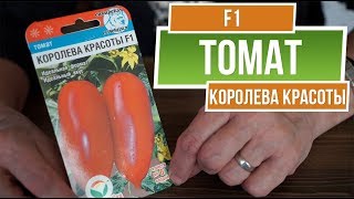 Обзор гибрида Томата ? Высокорослый Томат Королева Красоты ?