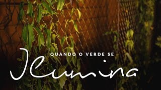 Jardim das Ideias #47: Quando o verde se ilumina