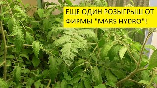 Ура! Снова розыгрыш от "MARS HYDRO"! Приз - дорогая растительная палатка! 