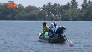 Вижити за будь-яку ціну