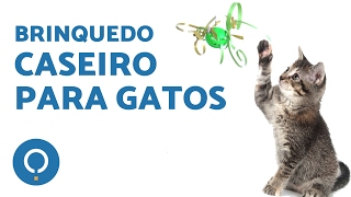 Brinquedo caseiro para Gatos - Muito fácil!