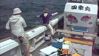 釣ファン取材 ～角島～ ２０１１．８．２５