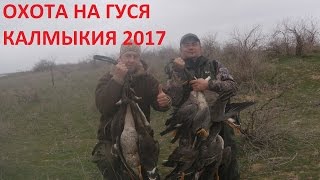ОХОТА на гуся Калмыкия 2017