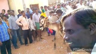 GaNuGa PeNtA SaNkRaNthi FeStiVaL-The Power of Youth