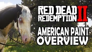 Red Dead Redemption 2 Horses - American Paint Overview