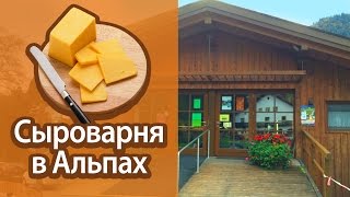 Сыроварня в Альпах. Германия