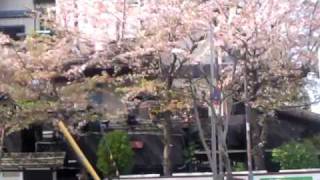 C11-218 蒸気機関車　日本　鉄道　日本車輌 No.976