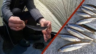 Ловля корюшки на озере Большой Кисегач. Февраль 2019.