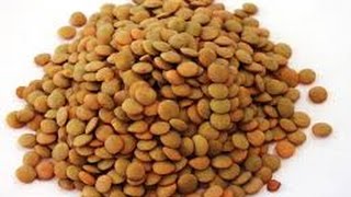 الحلقة 12 طريقة عمل العدس بجبة للكشرى