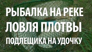 ЛОВЛЯ на ПОПЛАВОЧНУЮ УДОЧКУ ПЛОТВЫ, ПОДЛЕЩИКА на РЕКЕ