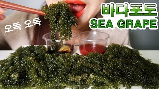 오독오독 환상식감~ 바다포도 먹방 ASMR Mukbang SEA GRAPES (Real Sound) No Talking