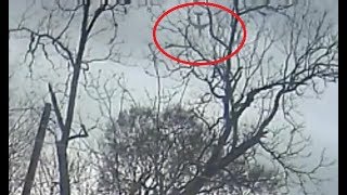 Видео падения грузового самолета в США