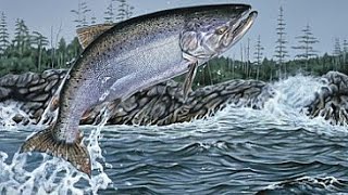 Fishing Planet 0.5.5 Аляска Уникальная Чавыча