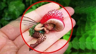 ТОП 5 Самые необычные случаи в реальной жизни | Маленькие Феи существуют!