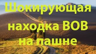 Шокирующая находка ВОВ на пашне.