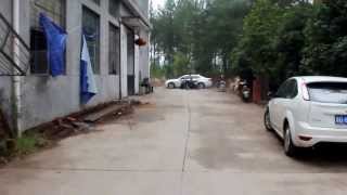 Электроквадроцикл Бизон (BISON)1