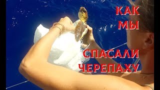 Переход из Греции в Италию на яхте, спасение черепахи, городок Scilla. Итальянский яхтинг.