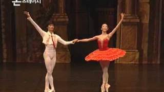 Don Quixote Grand PDD Sae Eun Park & Kimin Kim