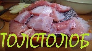 Толстолобик маринованный . Рецепт маринования толстолобика.