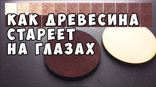 Как стареет древесина от морилки (уксус и железо) DIY Wood Stain (vinegar + iron) in life action