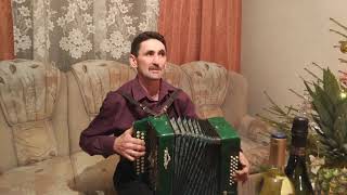 Татарские песни под гармонь - Яна ел карлары (cover)